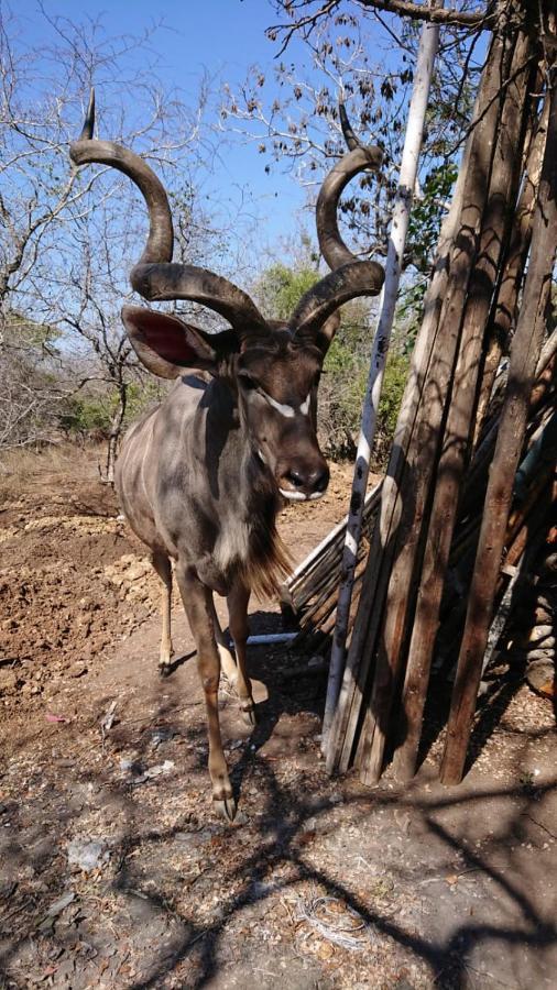 Svh Bush Lodge مارلوث بارك المظهر الخارجي الصورة